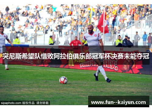 突尼斯希望队惜败阿拉伯俱乐部冠军杯决赛未能夺冠 突尼斯希望队惜败阿拉伯俱乐部冠军杯决赛未能夺冠